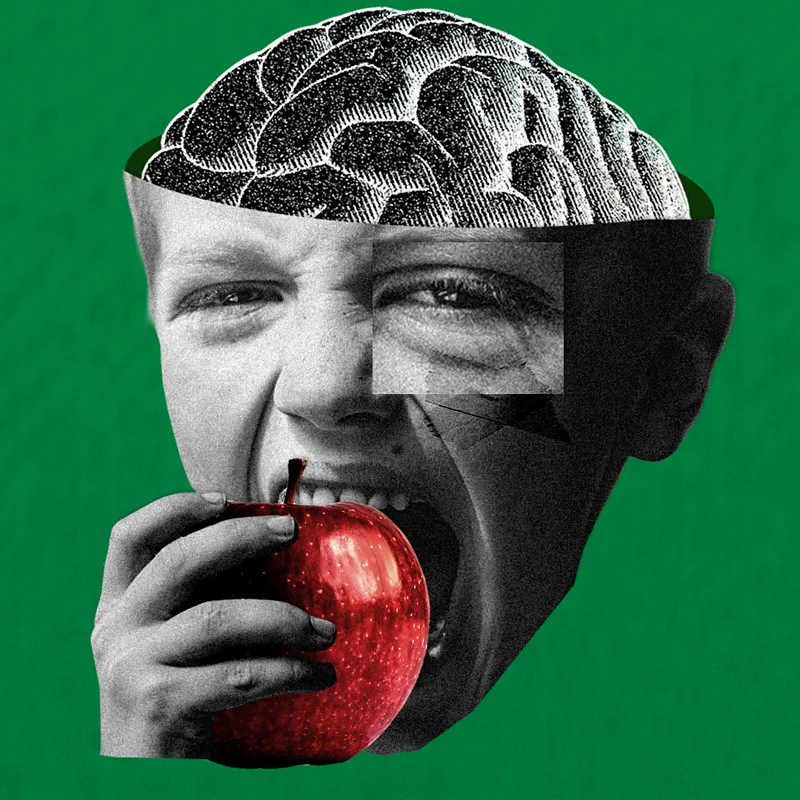 Brain bran: The protective effect that fibre has on cognition